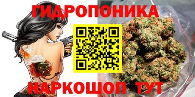 гидропоника Кулебаки