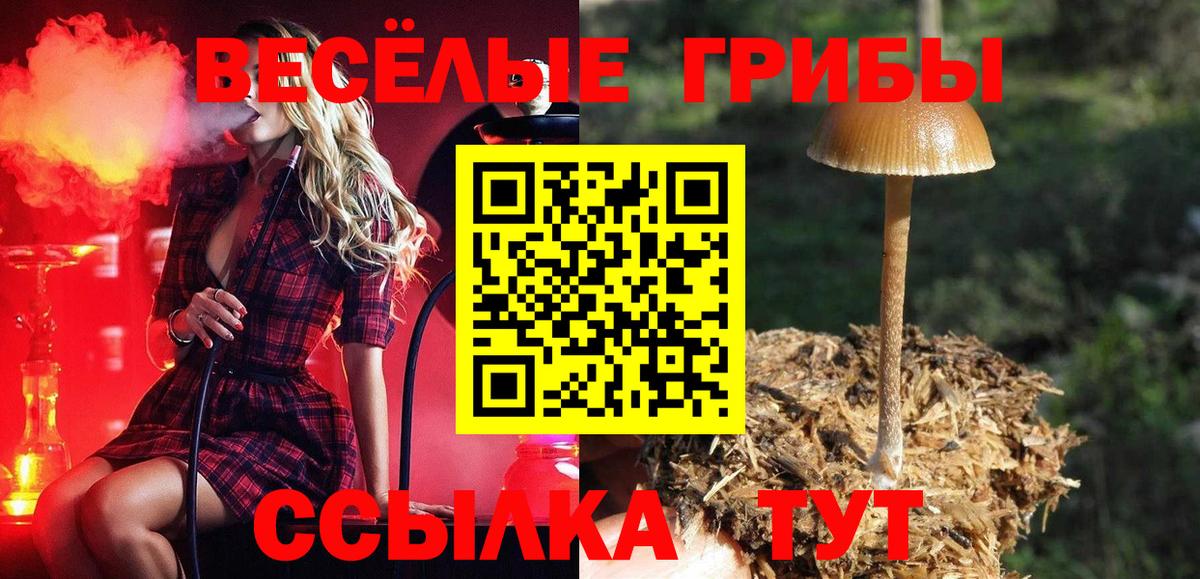 Галлюциногенные грибы прущие грибы  Псилоцибиновые грибы Magic Shrooms  Еманжелинск  Вход с VPN 