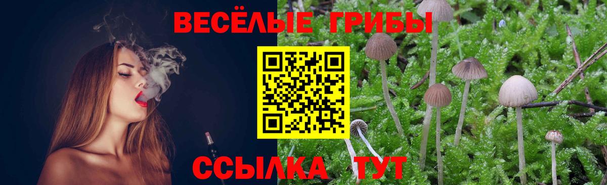 ТГК  Меф МЯУ МЯУ  НБОМе  Экстази  Вход с VPN  Продажа наркотиков  МАРИХУАНА  ГАШ  МЕФ   Еманжелинск  Кокаин 